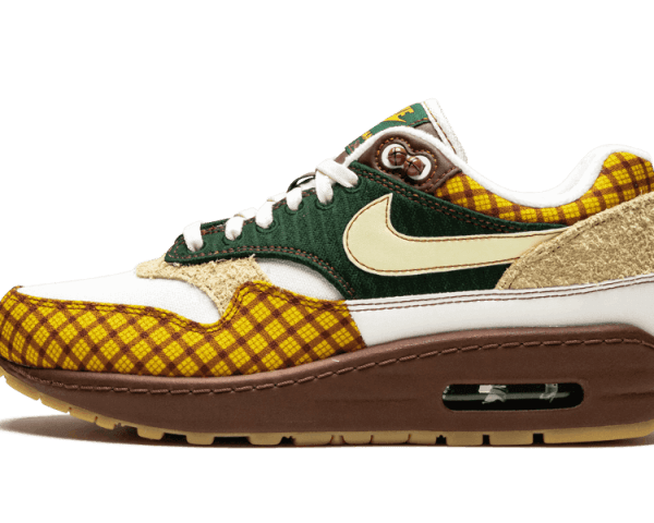 Nike Air Max 1 Susan Missing Link